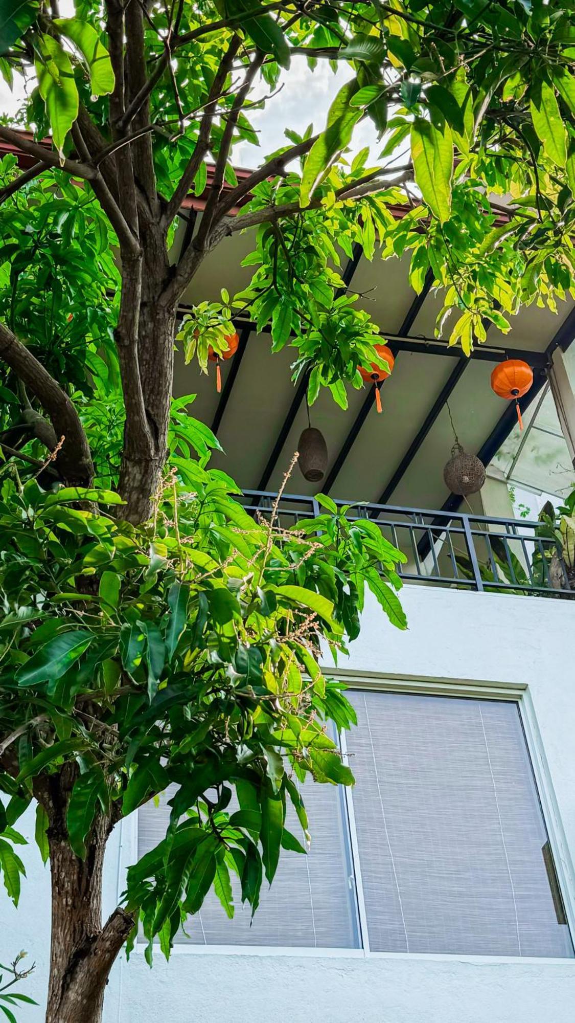 Vietnam House Kandy Luaran gambar